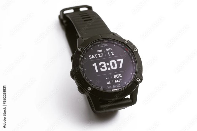 Garmin Fenix 6X Pro