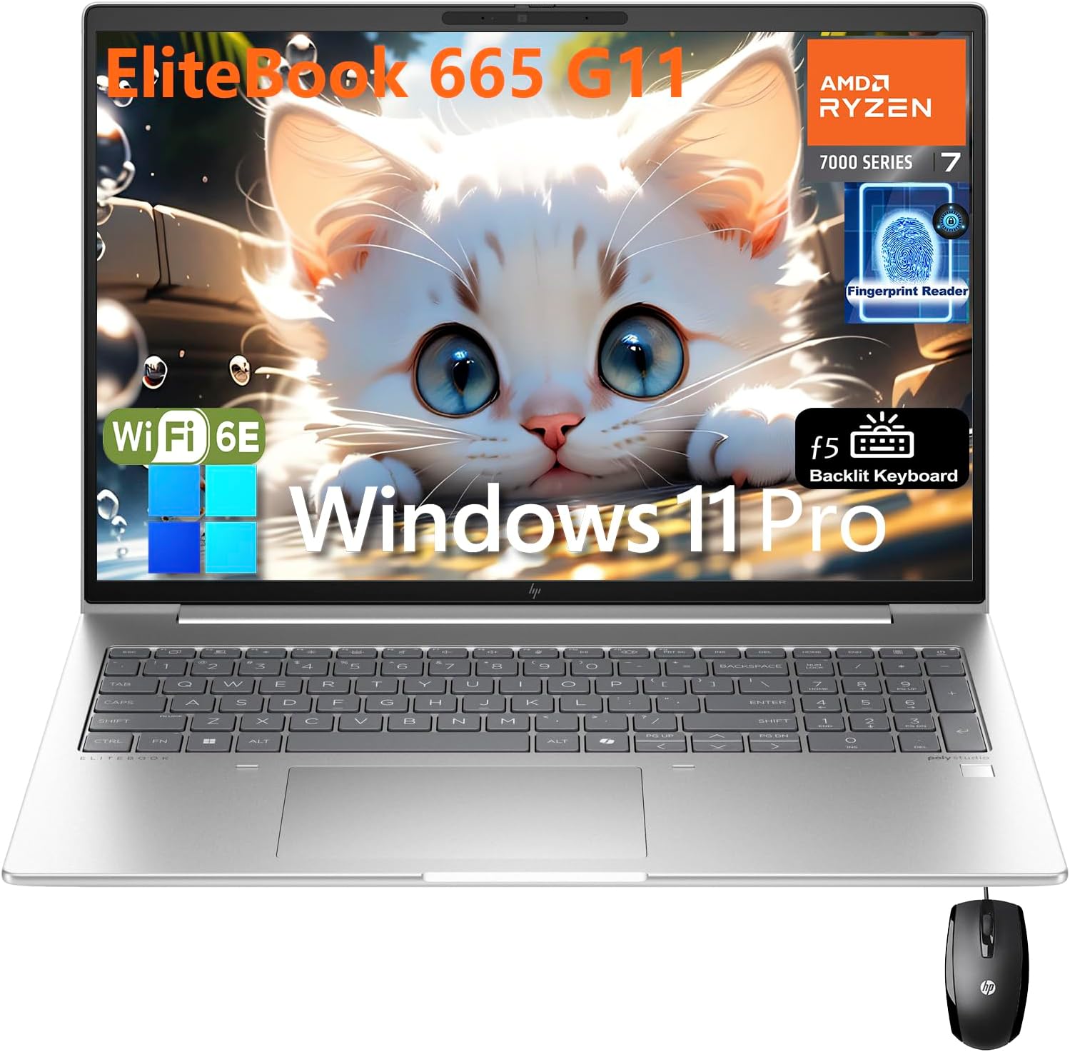 HP EliteBook 660 G11 16"